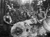 Skogsarbete 1943