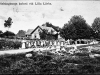Helsingborgskoloni vid Lilla Lärka